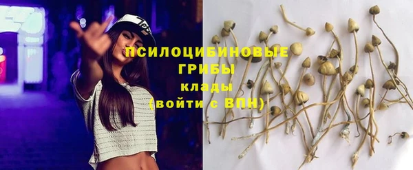 крисы Михайлов