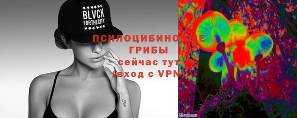 МДПВ Михайловск