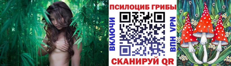 купить наркоту  Чухлома  Псилоцибиновые грибы прущие грибы 
